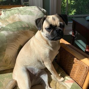 Meet your Posher, Taylor